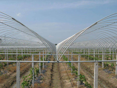 無錫大棚管應(yīng)用案例